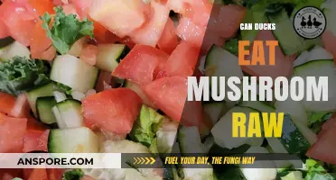 Can Ducks Safely Eat Raw Mushrooms? A Complete Feeding Guide