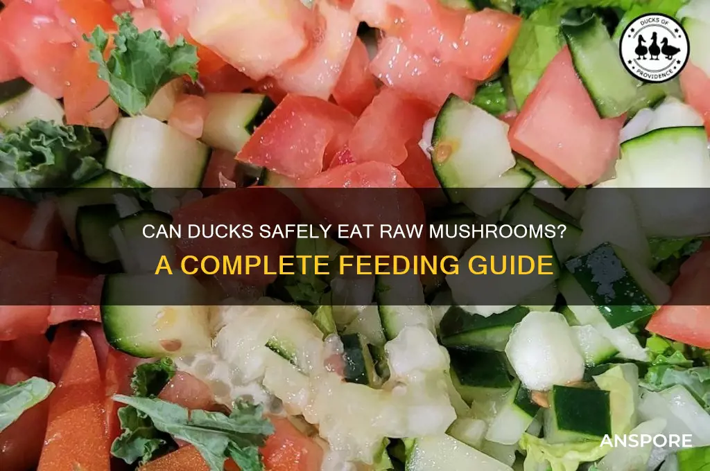can ducks eat mushrooms raw
