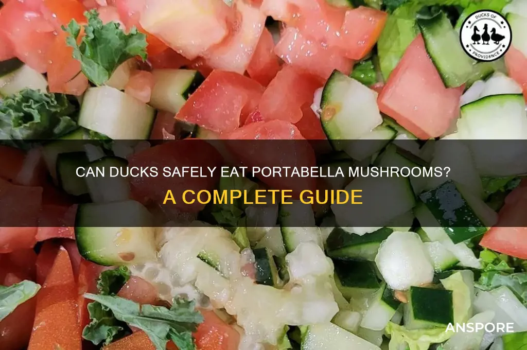 can ducks eat portabella mushrooms