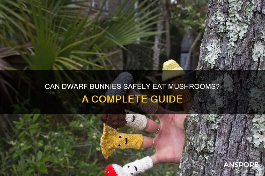 can dwarf bunnies eat mushrooms