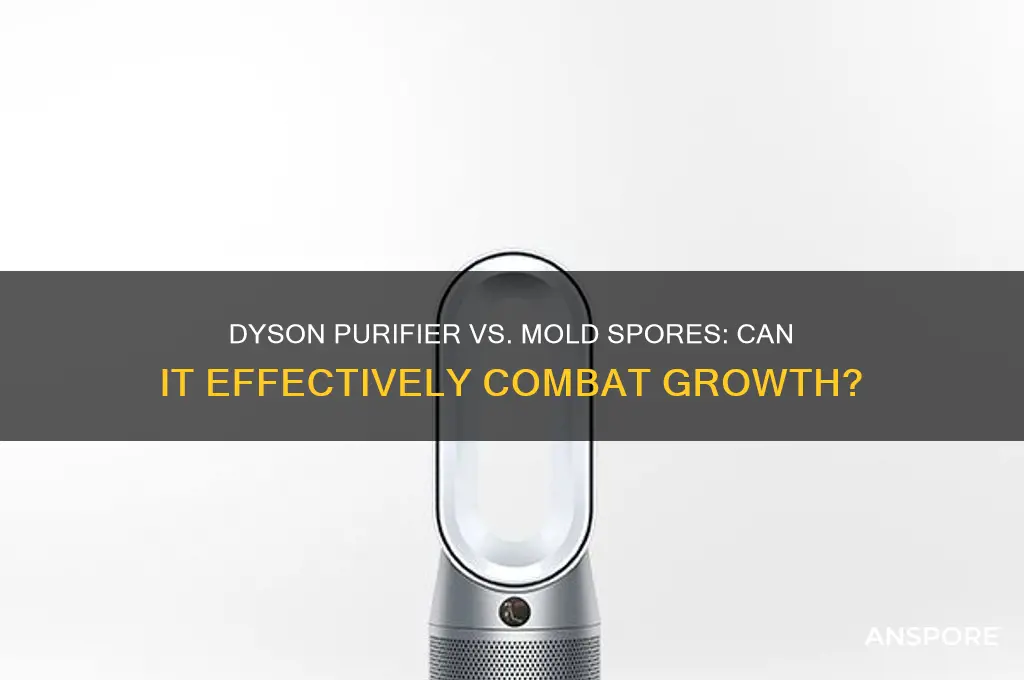 can dyson purifier fight mold spores