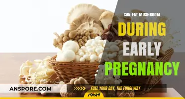 Mushrooms in Early Pregnancy: Safe or Risky? Expert Advice