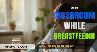 Breastfeeding and Mushrooms: Safe to Eat or Best Avoided?