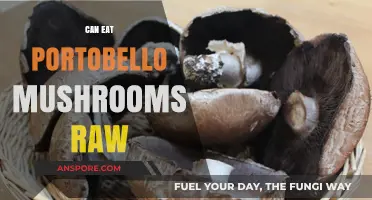 Can You Eat Portobello Mushrooms Raw? Safety and Tips