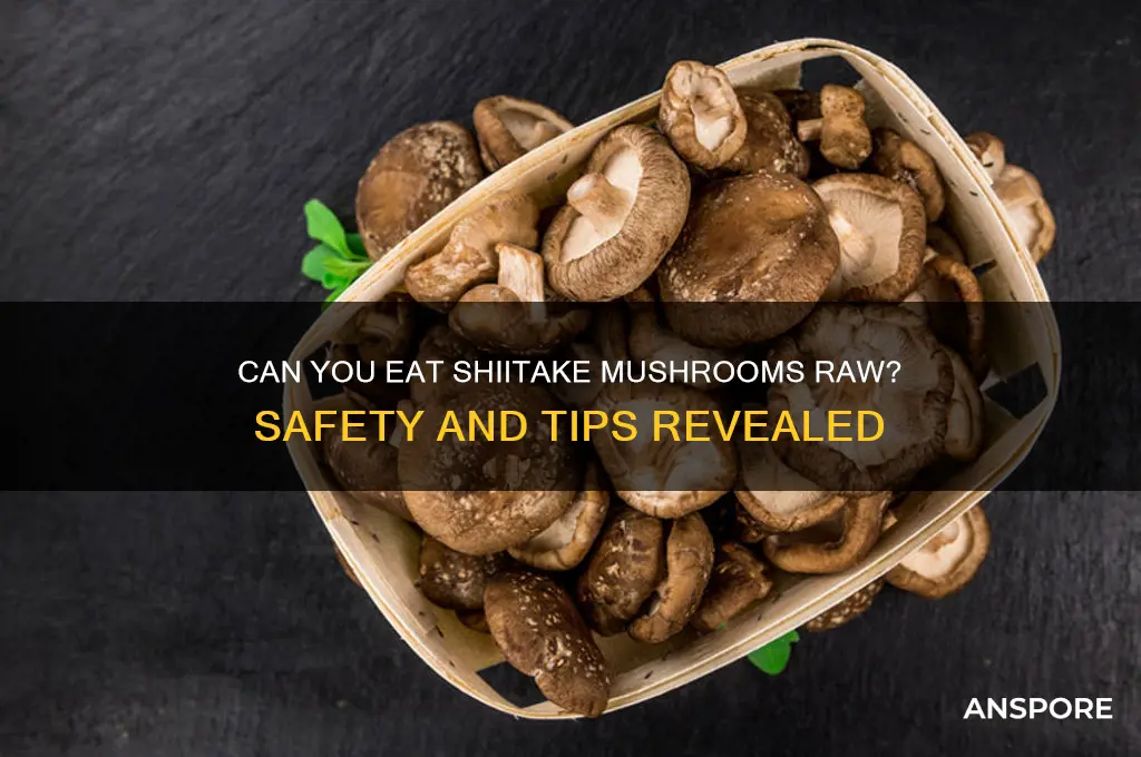 can eat shiitake mushrooms raw
