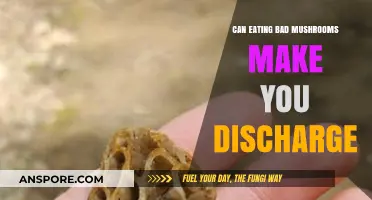 Can Toxic Mushrooms Cause Unusual Discharge? Facts and Risks Explained