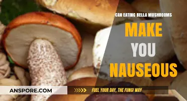 Bella Mushrooms and Nausea: Unraveling the Truth Behind Stomach Discomfort