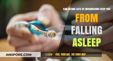 Mushrooms and Sleep: Do They Disrupt Your Rest?