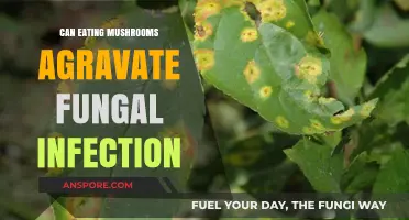 Mushrooms and Fungal Infections: Can Diet Worsen Symptoms?