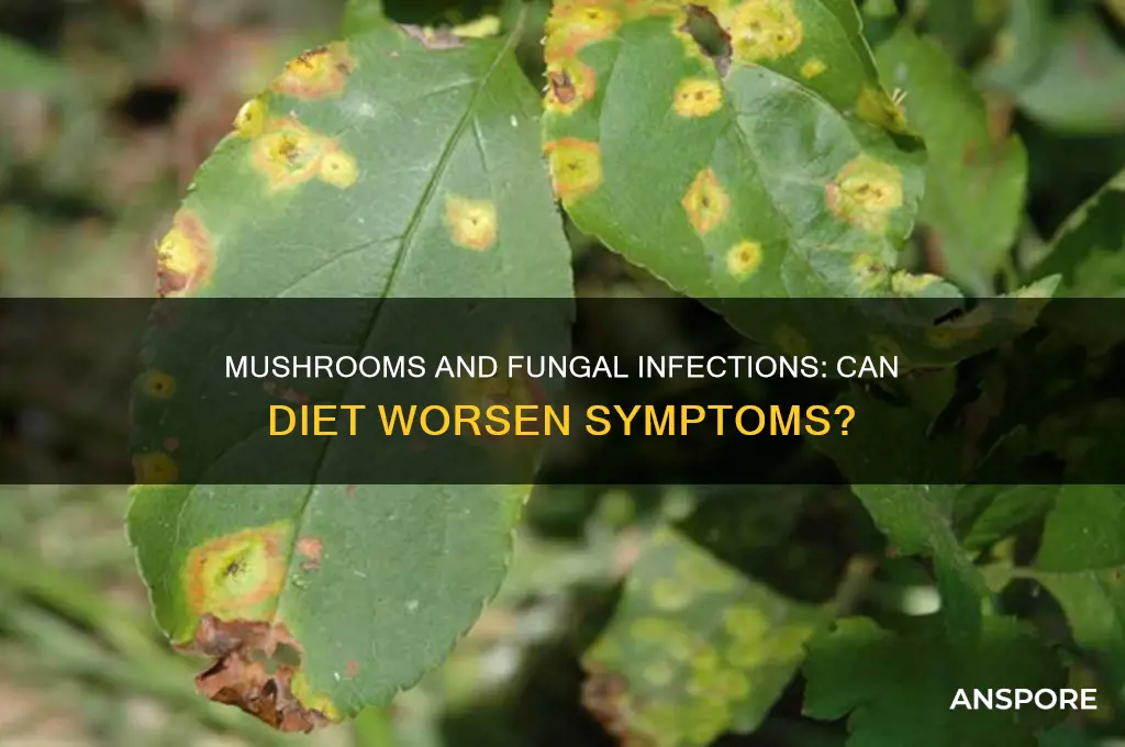 can eating mushrooms agravate fungal infection