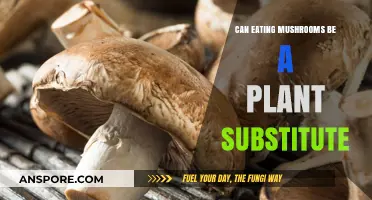 Mushrooms as Plant-Based Alternatives: A Nutritious and Sustainable Option?