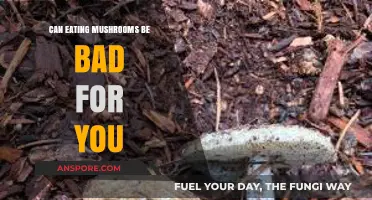 Mushroom Safety: Potential Risks and Side Effects of Consumption