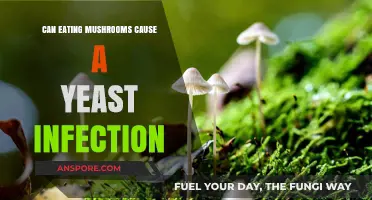 Mushrooms and Yeast Infections: Unraveling the Dietary Connection