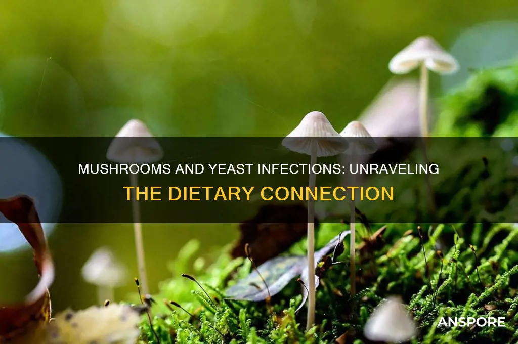 can eating mushrooms cause a yeast infection