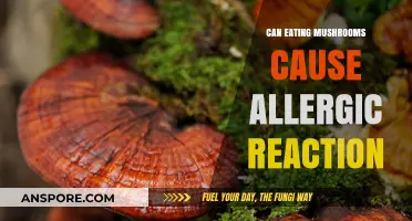 Mushroom Allergies: Symptoms, Risks, and Safe Consumption Tips