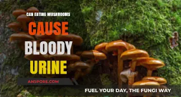 Mushrooms and Bloody Urine: Unraveling the Connection and Risks