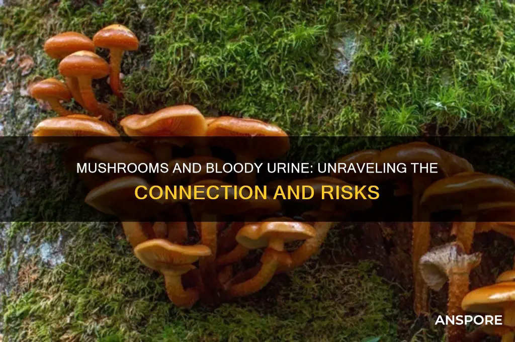 can eating mushrooms cause bloody urine