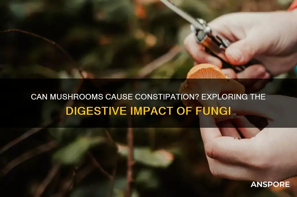 can eating mushrooms cause constipation