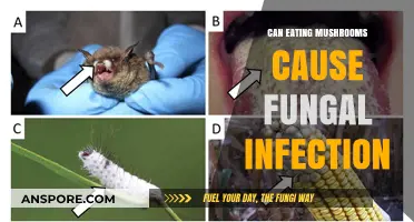 Can Eating Mushrooms Lead to Fungal Infections? Facts Revealed