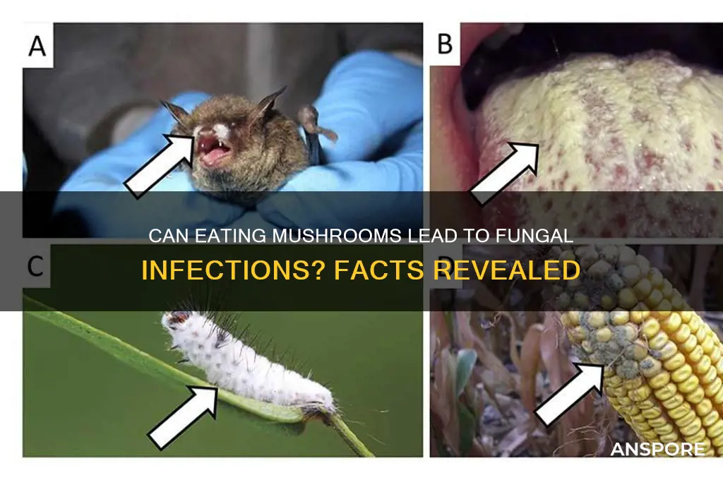 can eating mushrooms cause fungal infection