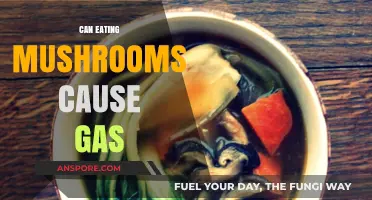 Can Mushrooms Cause Gas? Understanding Digestive Effects of Fungal Foods