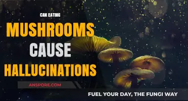Do Mushrooms Induce Hallucinations? Exploring the Psychedelic Truth