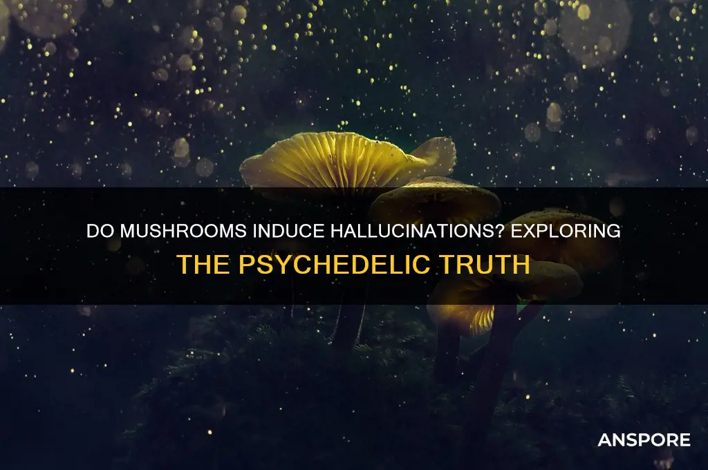 can eating mushrooms cause hallucinations