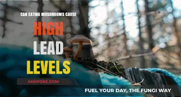 Mushrooms and Lead: Uncovering the Hidden Risks in Your Diet