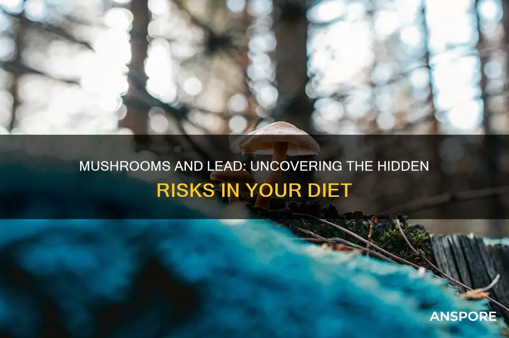 can eating mushrooms cause high lead levels
