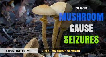 Mushrooms and Seizures: Unraveling the Truth Behind the Myth