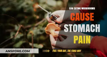 Mushrooms and Stomach Pain: Unraveling the Digestive Discomfort Mystery