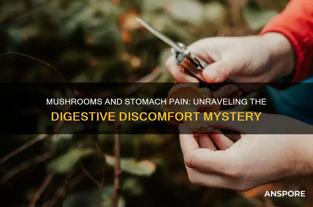 can eating mushrooms cause stomach pain