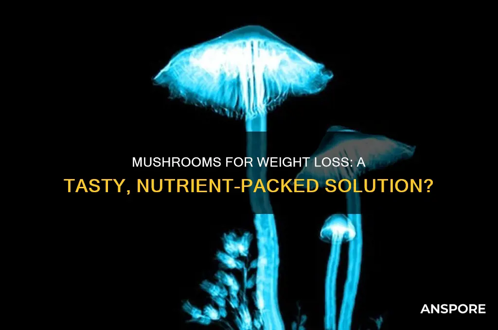 can eating mushrooms help you lose weight