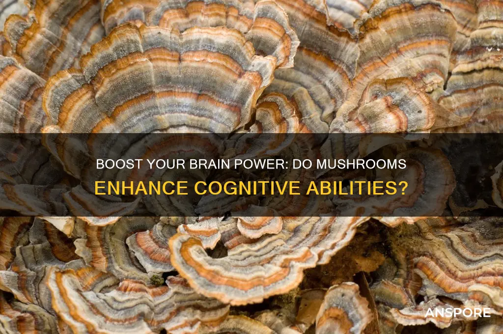 can eating mushrooms increase iq