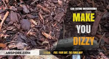 Mushrooms and Dizziness: Unraveling the Truth Behind This Claim