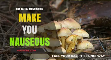 Can Mushrooms Cause Nausea? Understanding Side Effects and Risks