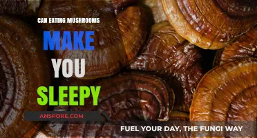 Mushrooms and Sleep: Unveiling the Truth Behind Their Sedative Effects