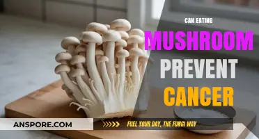 Mushrooms' Anticancer Potential: Unlocking Nature's Defense Against Cancer