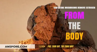 Can Mushrooms Detoxify Estrogen? Exploring Their Hormonal Impact