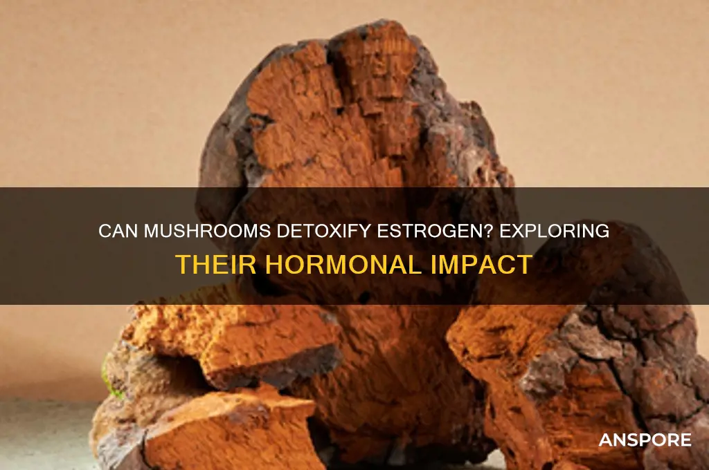can eating mushrooms remove estrogen from the body
