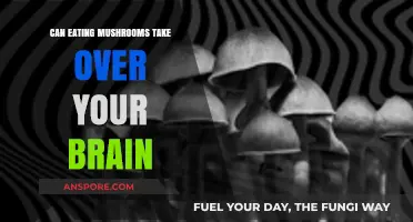 Mushrooms and Mind Control: Separating Fact from Fiction in Fungal Folklore