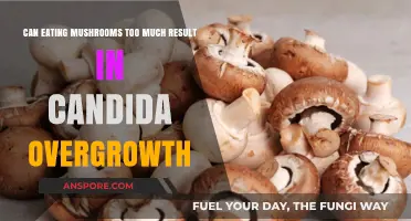 Mushroom Consumption and Candida: Can Overindulgence Lead to Overgrowth?