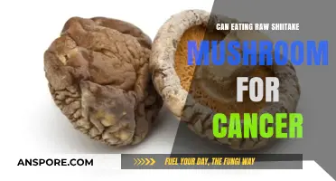 Raw Shiitake Mushrooms: Potential Cancer-Fighting Benefits and Risks Explored