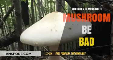Are White Mushrooms Harmful When Consumed in Excess? Find Out