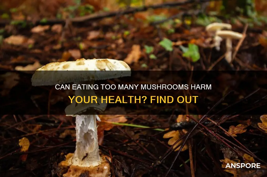 can eating too many mushrooms