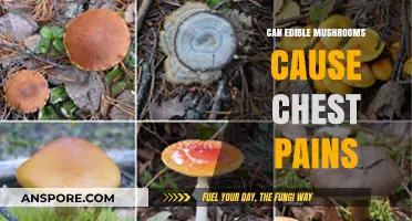 Edible Mushrooms and Chest Pains: Unraveling the Surprising Connection