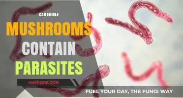 Do Edible Mushrooms Harbor Parasites? Unveiling Hidden Risks in Fungi