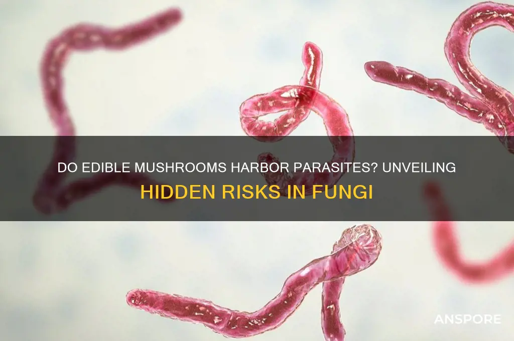 can edible mushrooms contain parasites