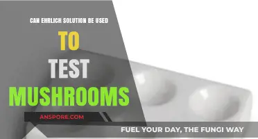 Testing Mushrooms with Ehrlich's Reagent: Safety and Accuracy Explained