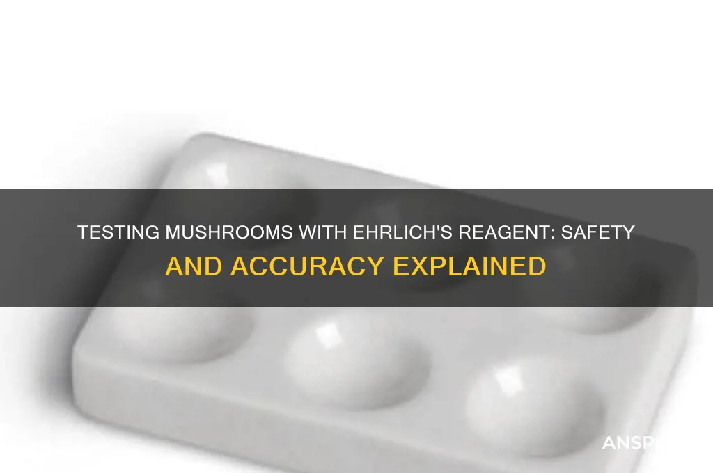can ehrlich solution be used to test mushrooms